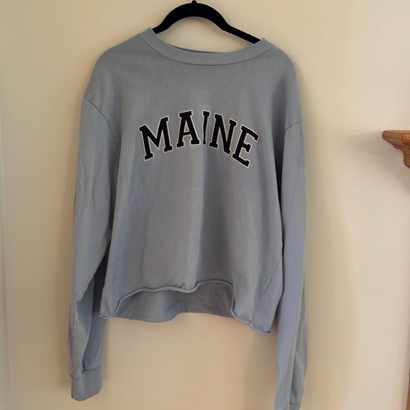 Brandy Melville Tops Brandy Melville Cropped Crew Neck Sweatshirt